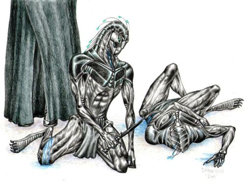 Duel