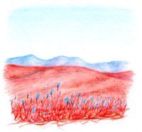 Home World plains