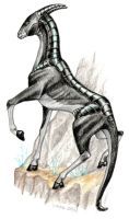 Female Rock Jumper
