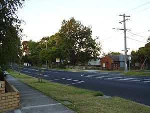 Site of felled tree