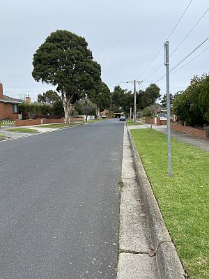 Samuel Court